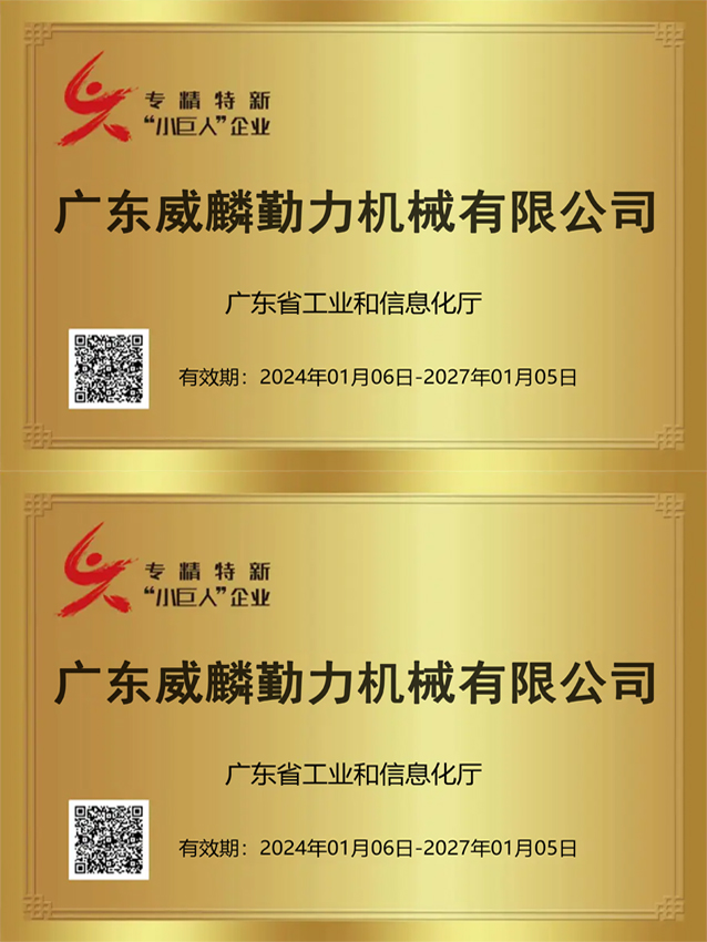 專精特新小巨人企業(yè)